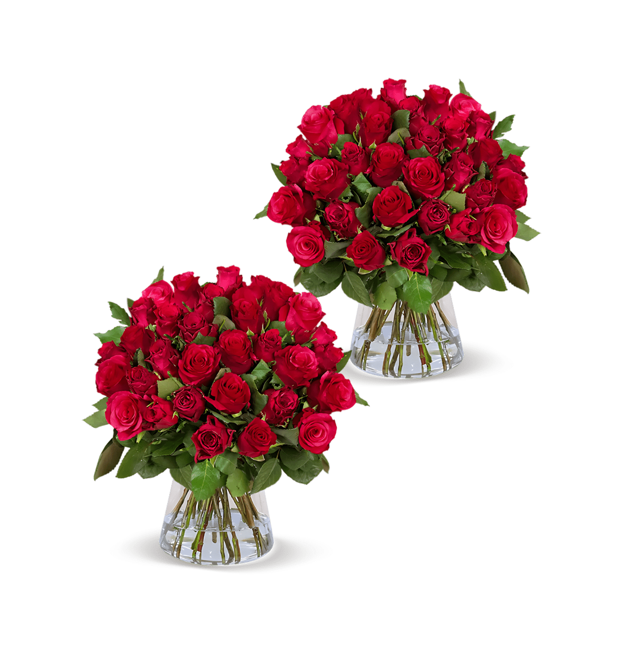 100 Rote Rosen (2x50 Stück) - Blume Ideal