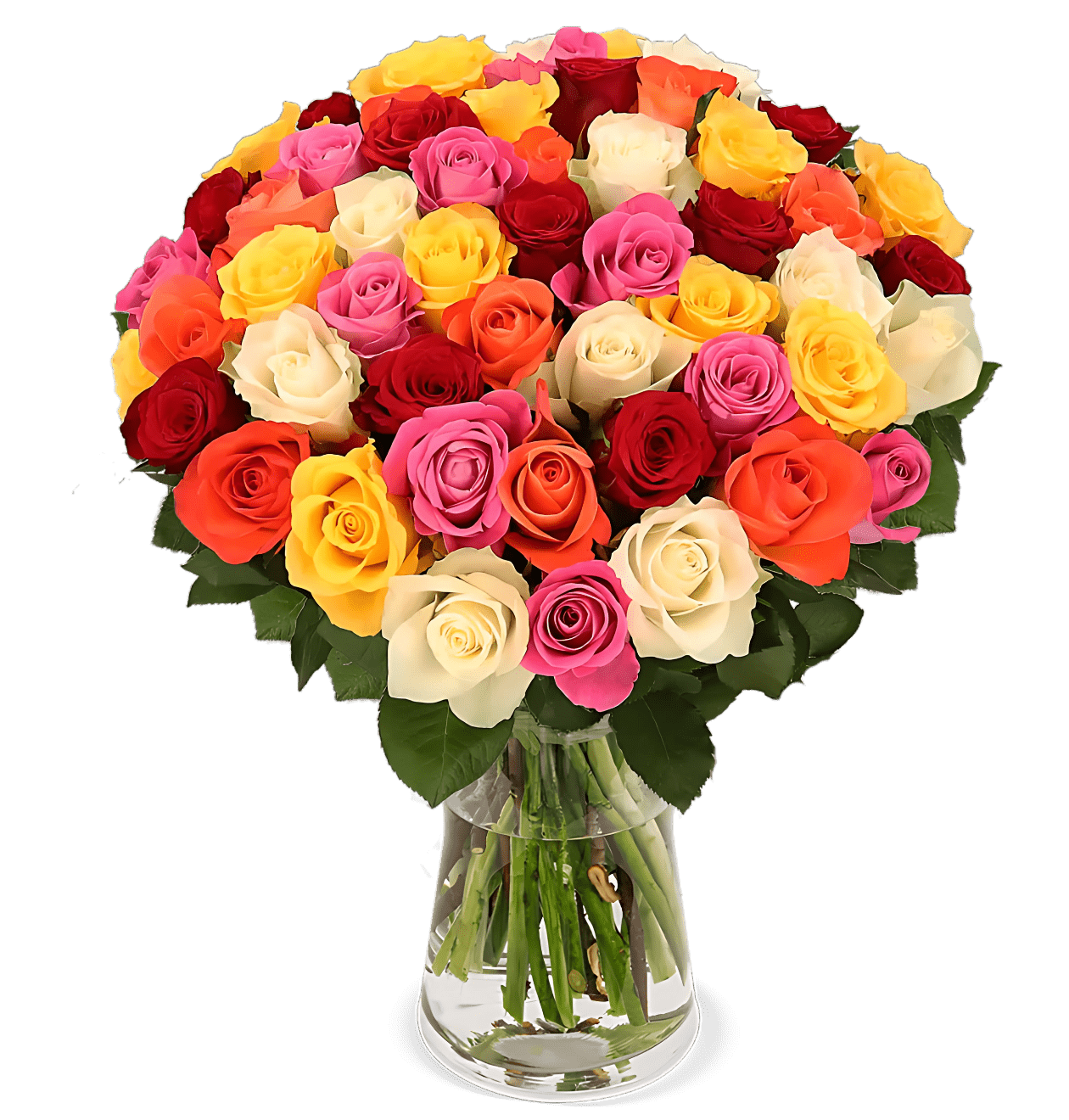 30 bunte Rosen - Blume Ideal