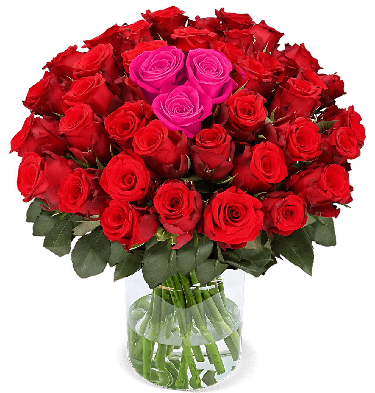 30 Rosen - “Heartbeat” - Blume Ideal