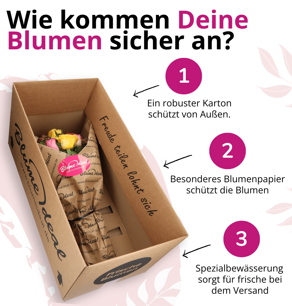 30 weiße Rosen - Blume Ideal