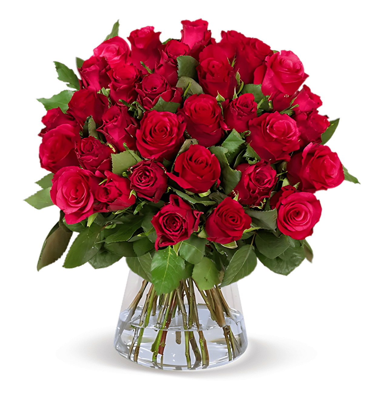 40 rote Rosen - Blume Ideal