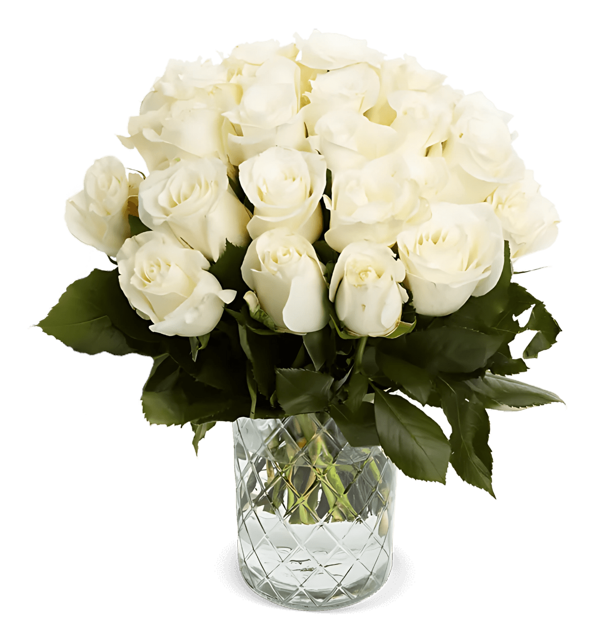 40 weiße Rosen - Blume Ideal