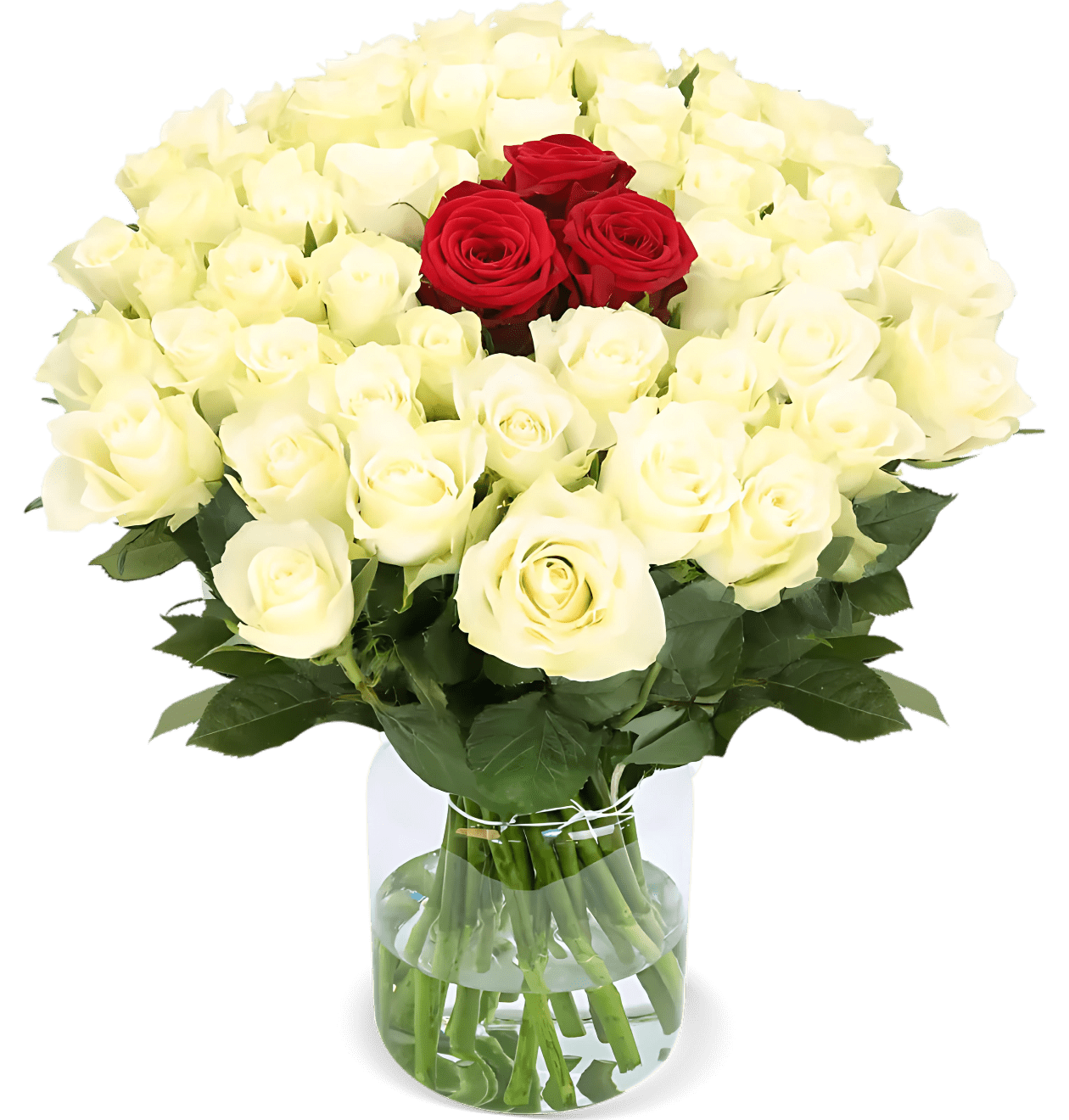 60 Rosen - “Nordlicht” - Blume Ideal