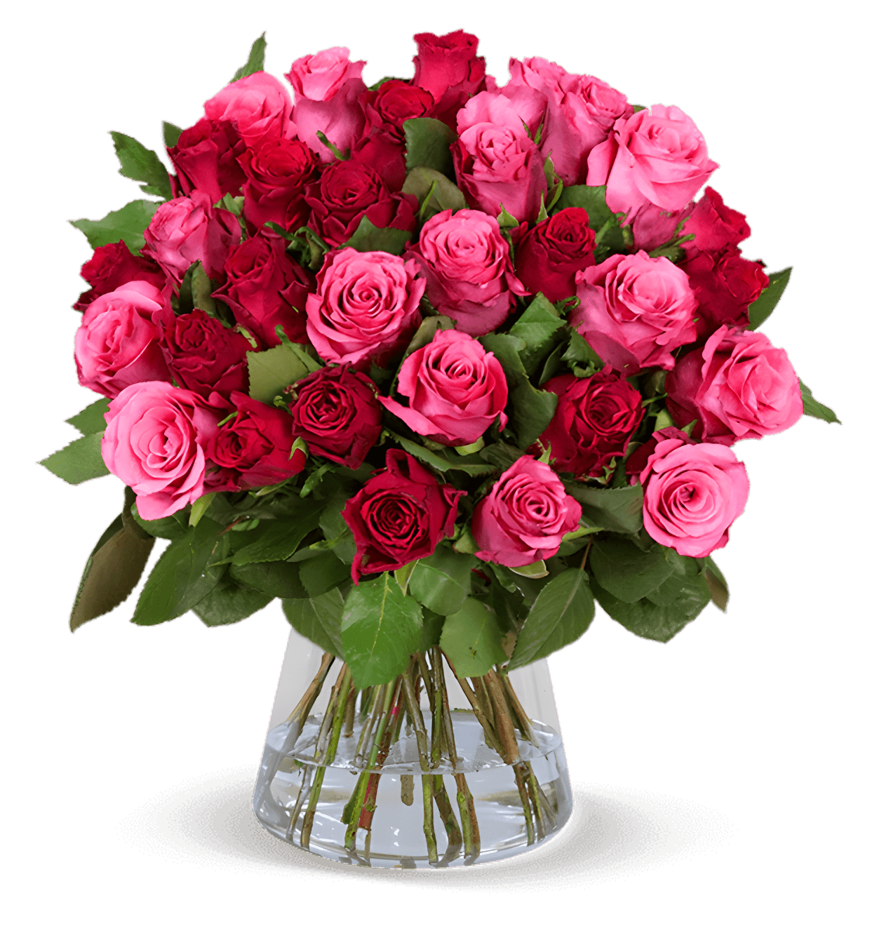 70 Rosen - "Romantic Roses" - Blume Ideal