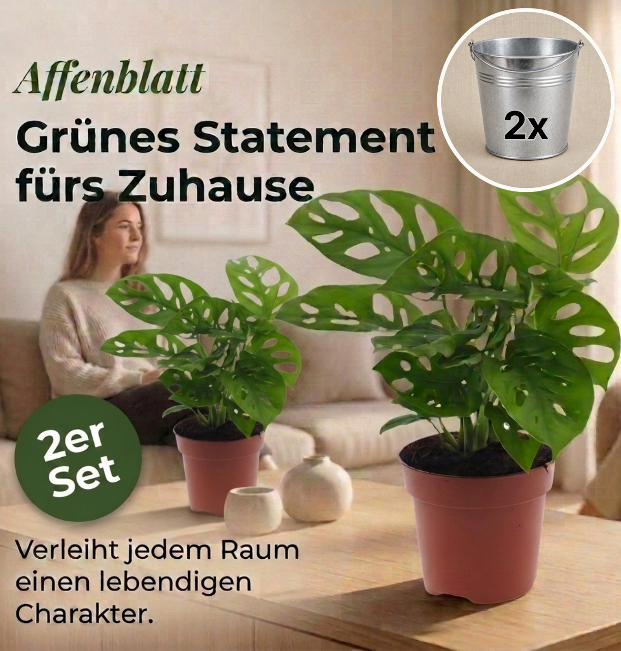 Monstera adansonii + Zinktopf | 2er-Set | Monkey Leaf | ca. 25-30 cm | Ø 12-15 cm Topf