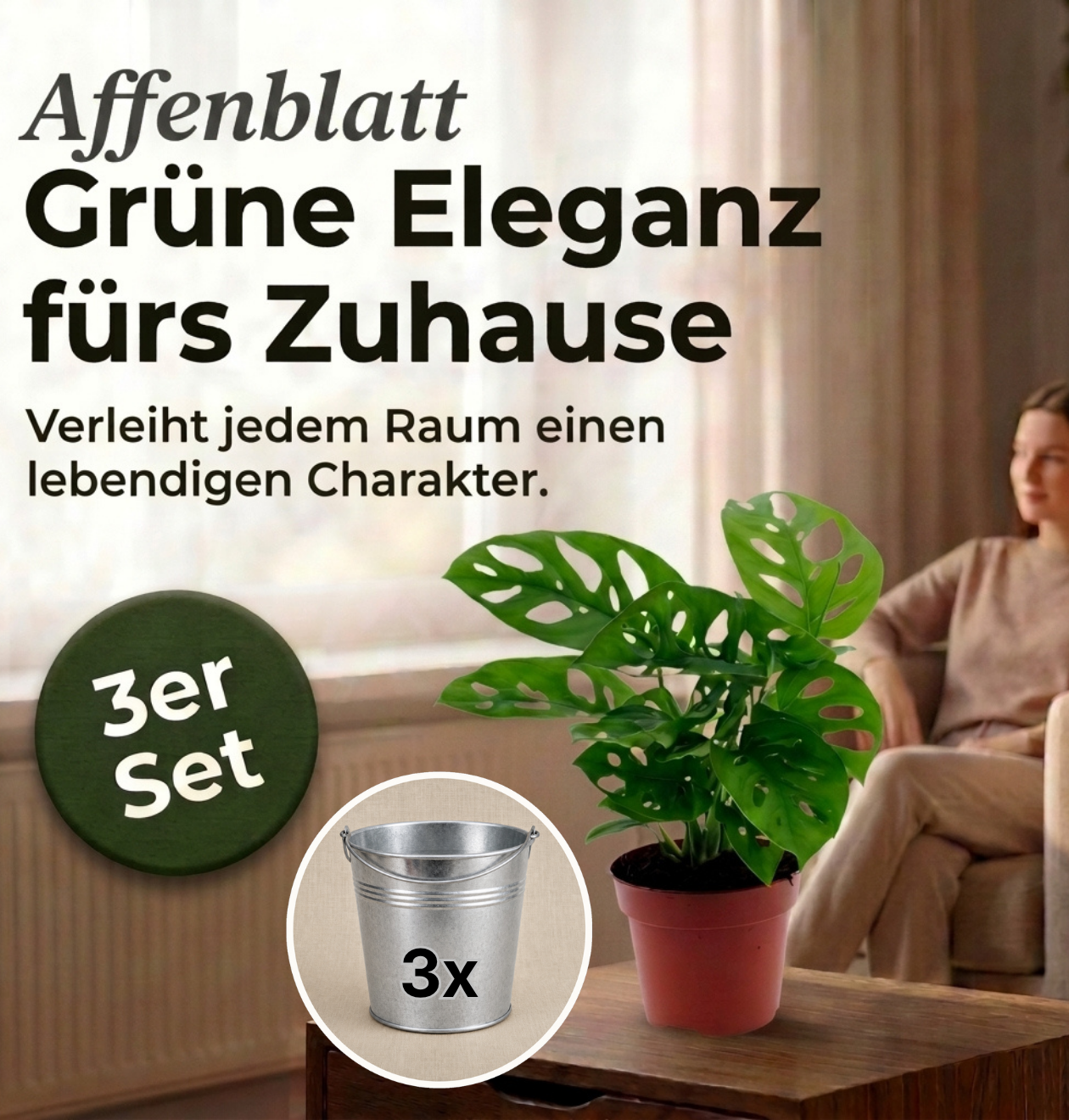 Monstera adansonii + Zinktopf | 3er-Set | Monkey Leaf | ca. 25-30 cm | Ø 12-15 cm Topf