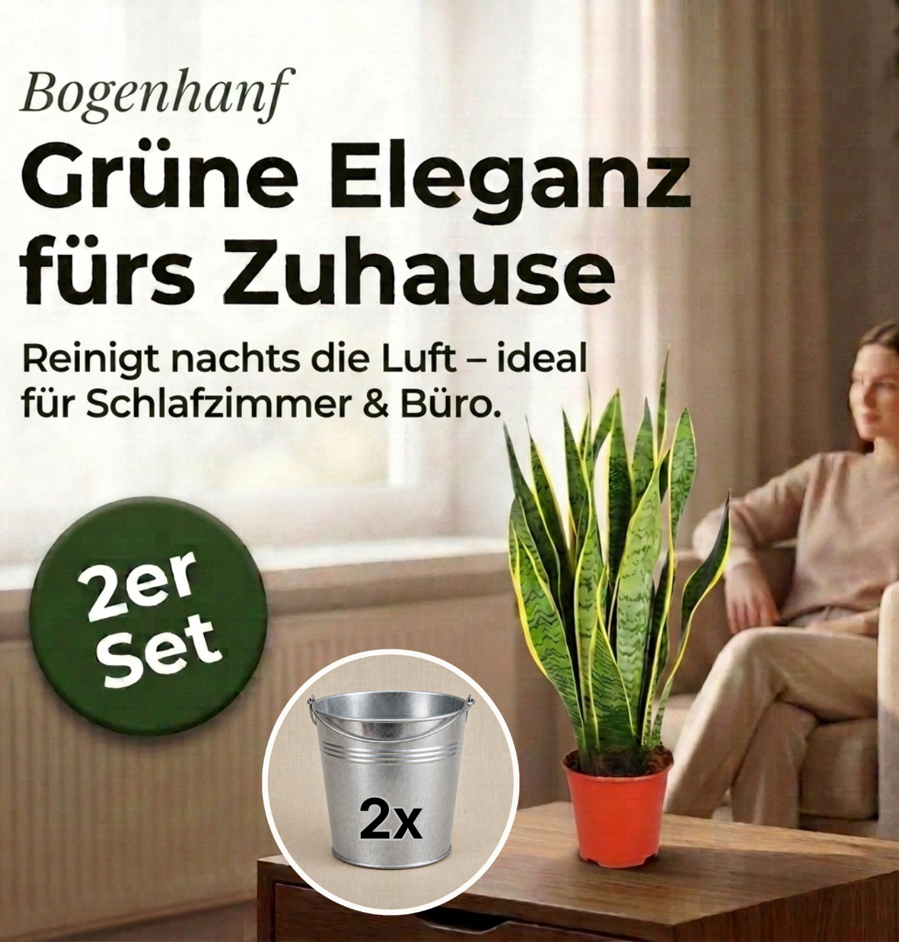 Bogenhanf + 2x Zinktopf | 2er-Set | Sansevieria | ca. 40-50 cm | Ø 12-15 cm Topf