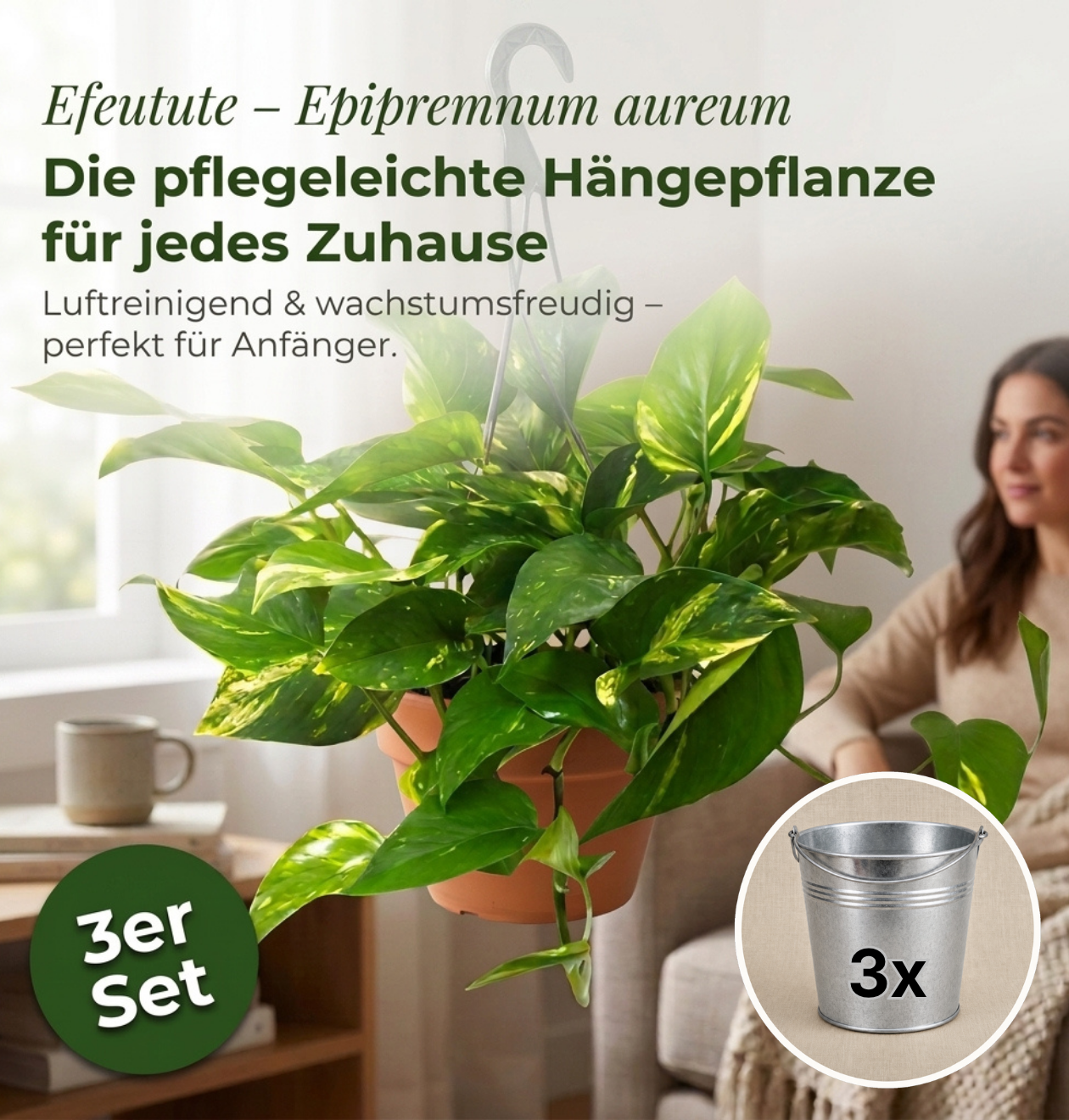 Efeutute (hängend) + Zinktopf | 3er-Set | Epipremnum aureum | ca. 30-35 cm | Ø 12-15 cm Topf