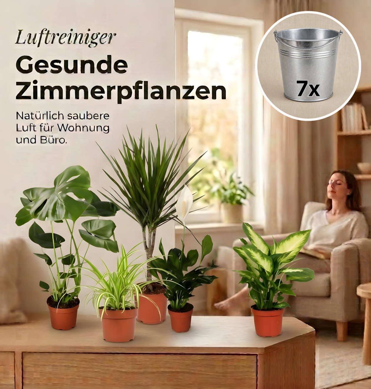 “Luftreiniger” Pflanzen-Set + Zinktopf | 7er-Set | ca. 30-70 cm | Ø 12-15 cm Topf