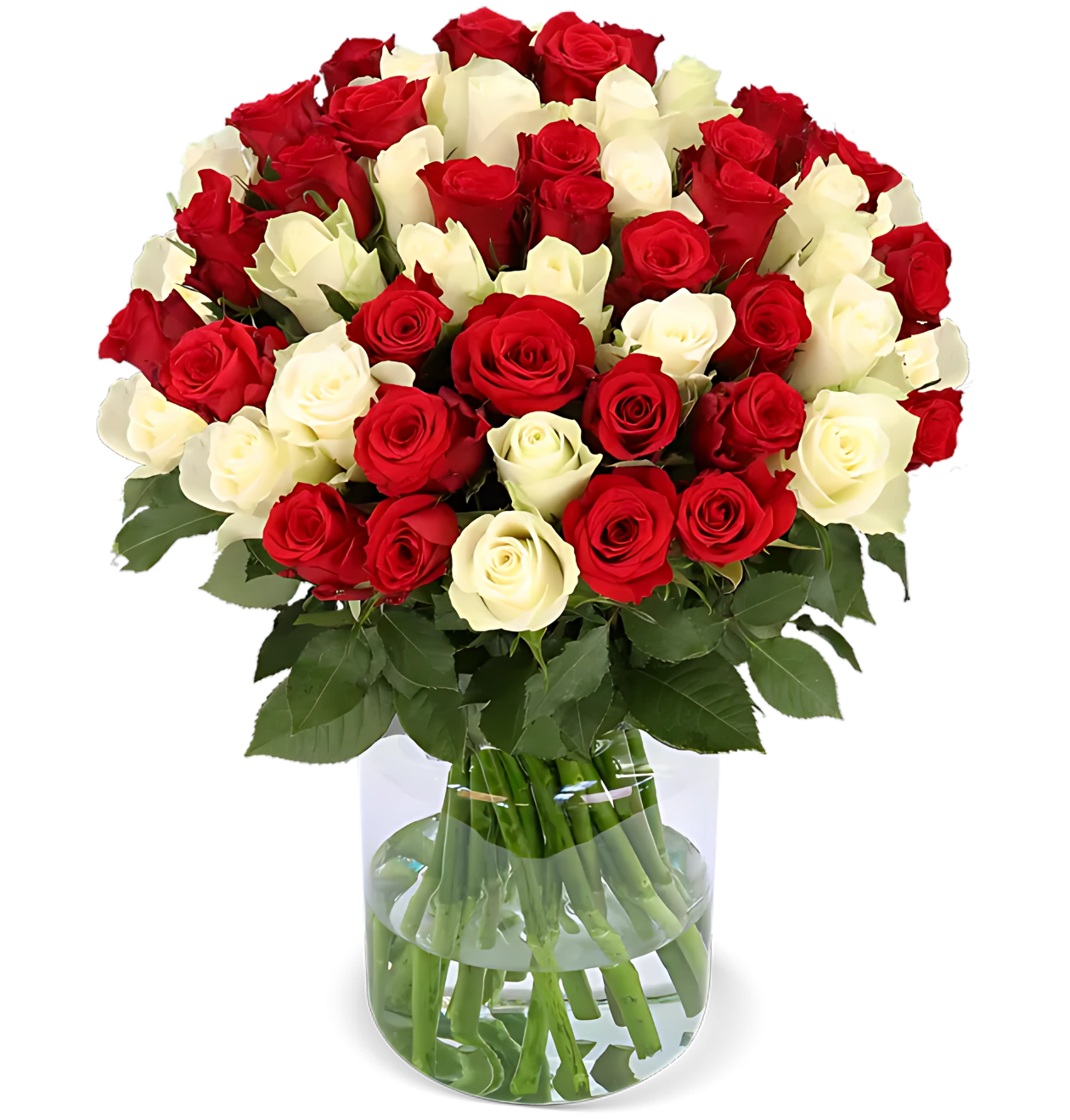 60 rot weiße Rosen