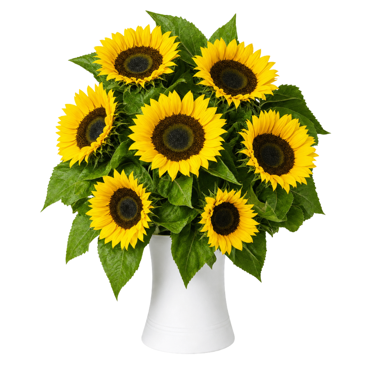 7 Sonnenblumen