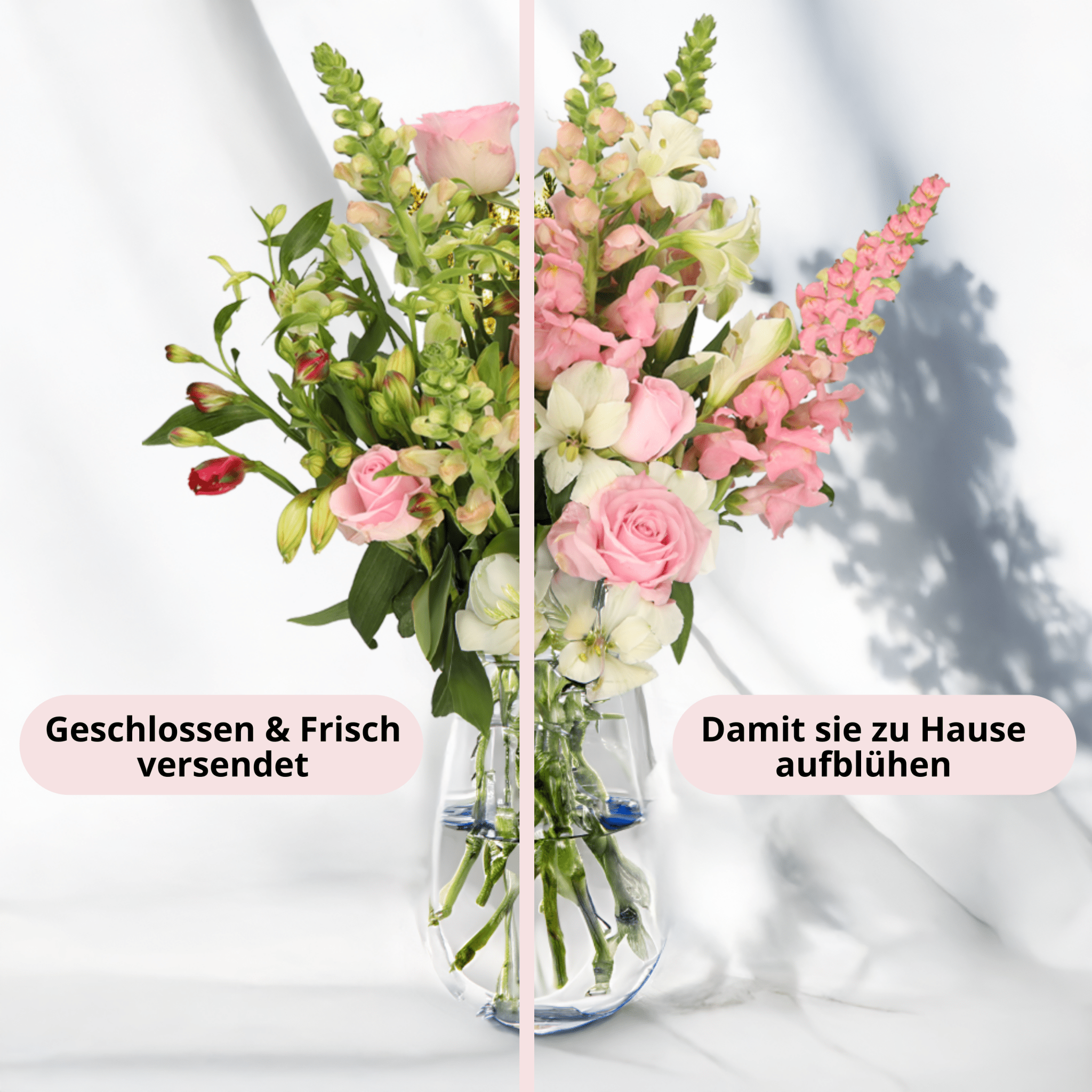 Blütenmeer - Blume Ideal