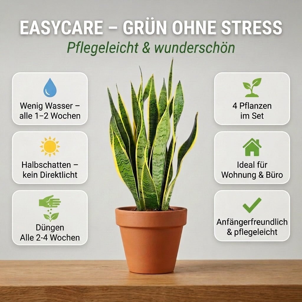 “EasyCare” Pflanzenset + Zinktopf | 4er - Set | ca. 30 - 60 cm | Ø 12 - 15 cm Topf - Blume Ideal
