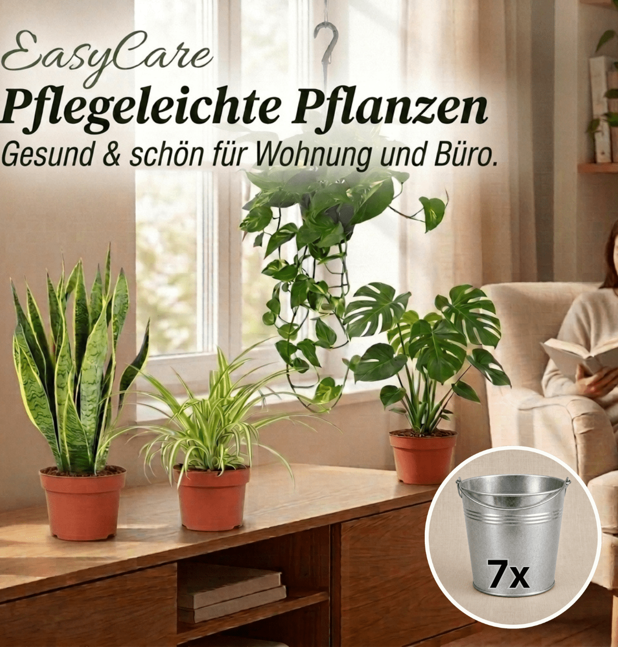 “EasyCare” Pflanzenset + Zinktopf | 7er - Set | ca. 30 - 60 cm | Ø 12 - 15 cm Topf - Blume Ideal