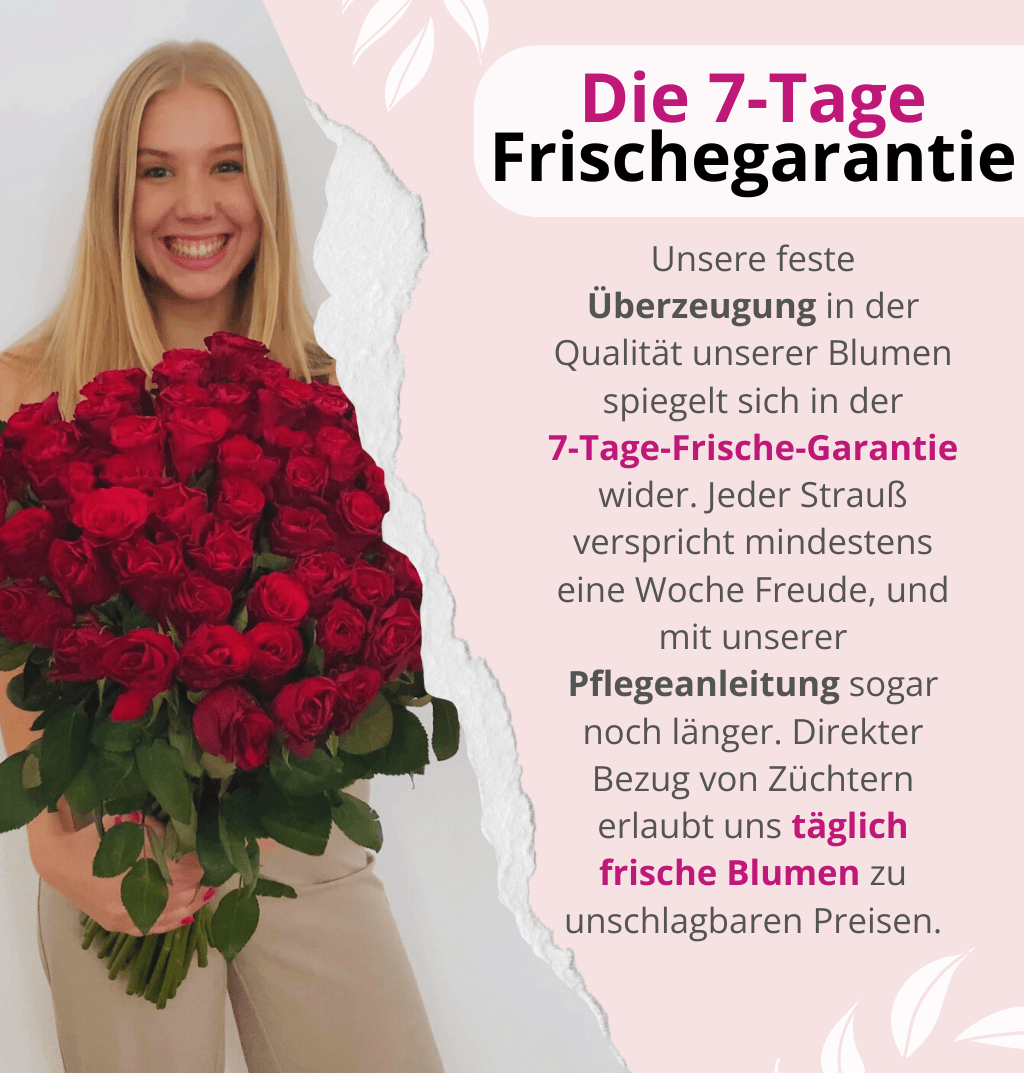 Farbtraum - Blume Ideal