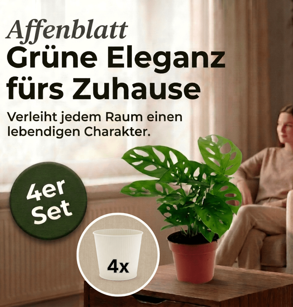 Monstera adansonii + 4x Cremefarbener Zinktopf | 4er-Set | Monkey Leaf | ca. 25-30 cm | Ø 12-15 cm Topf - Blume Ideal