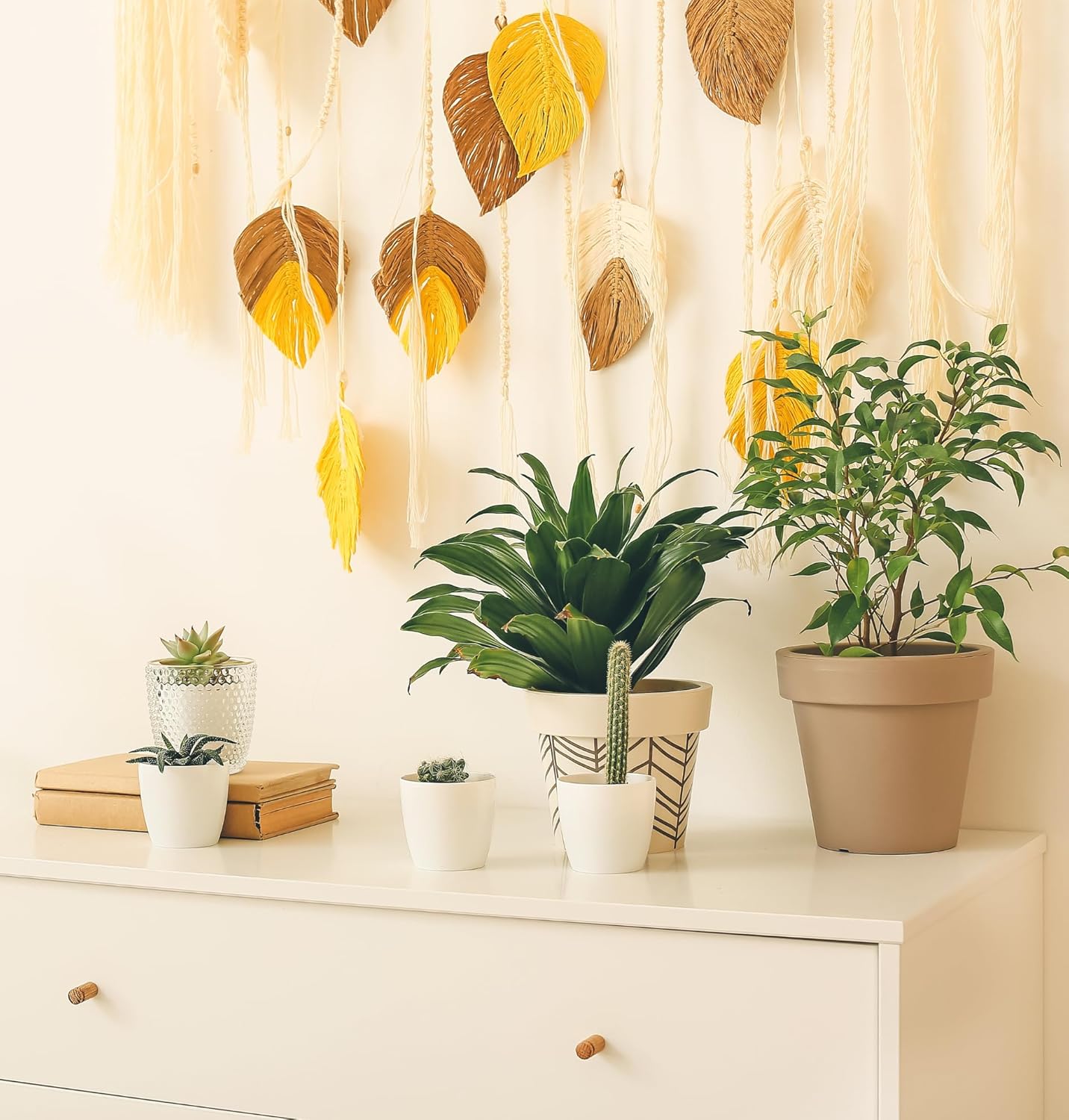 Pflanzenüberraschung + Zinktopf | 8er - Set | ca. 30 - 70 cm | Ø 12 - 15 cm Topf - Blume Ideal
