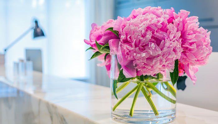 Blumen als Firmengeschenk - So freuen sich Kunden und Kollegen - Blume Ideal