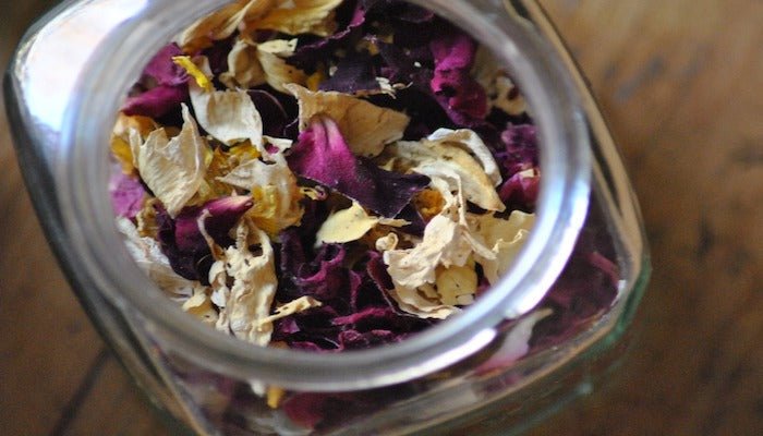 Essbare Blüten - Diese Blumen schmecken am Besten! - Blume Ideal