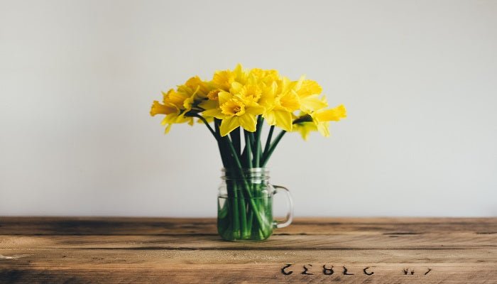 Frische Schnittblumen - Top 5 Tipps zum frisch halten - Blume Ideal