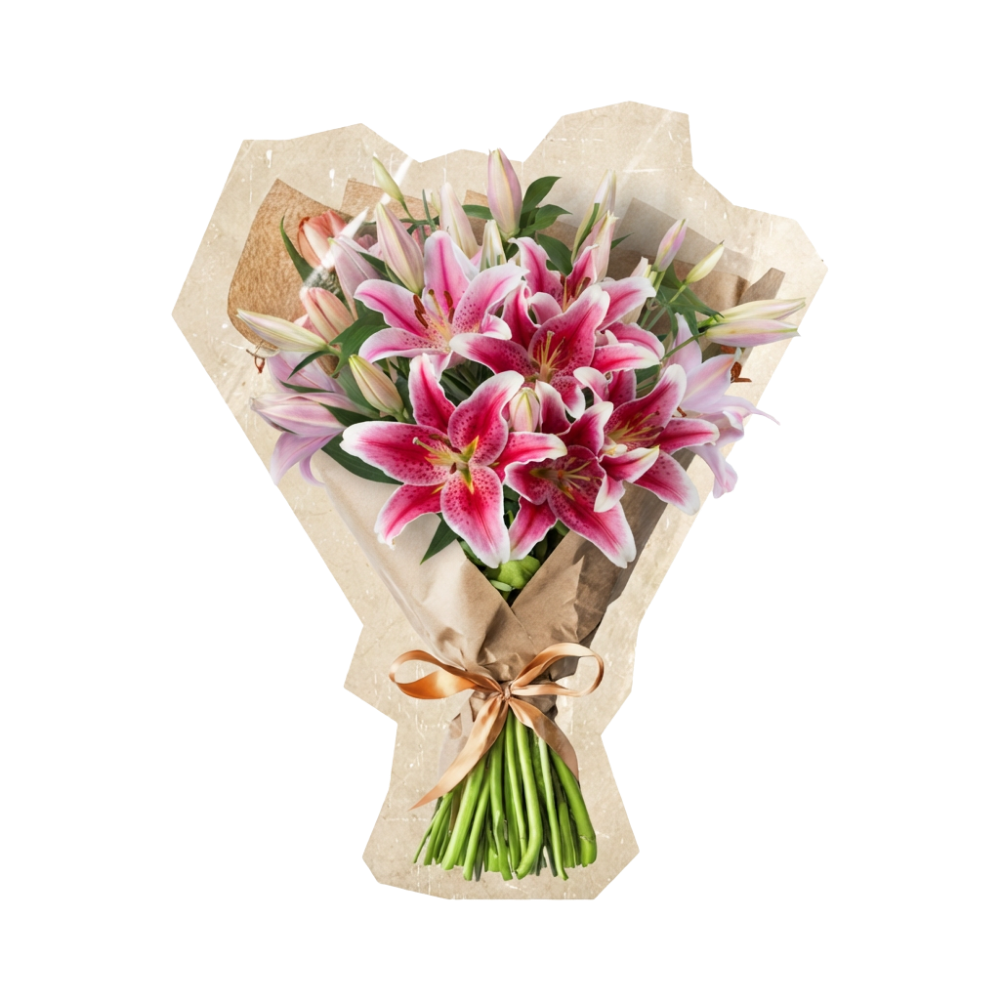 10 Pinke Lilien - Blume Ideal