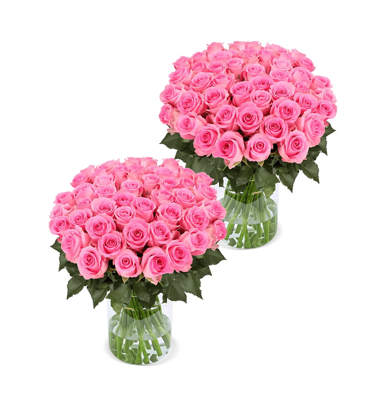 100 Pinke Rosen (2x50 Stück) - Blume Ideal