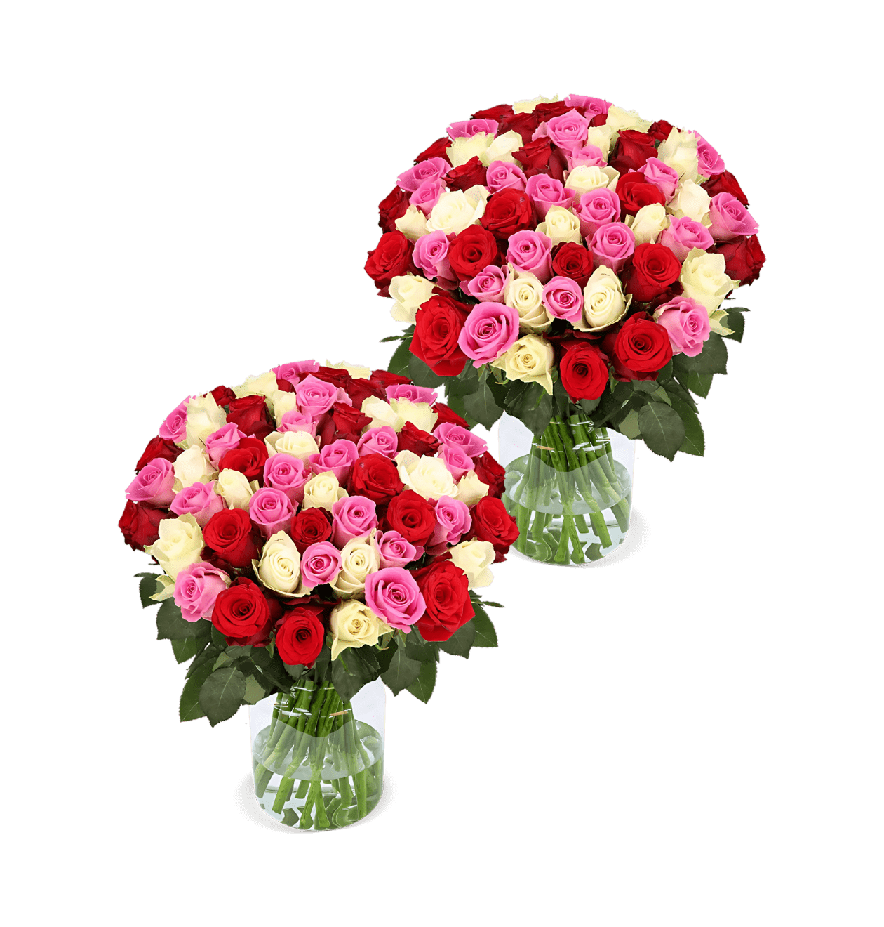 100 Rosen - "Love Loud" (2x50 Stück) - Blume Ideal