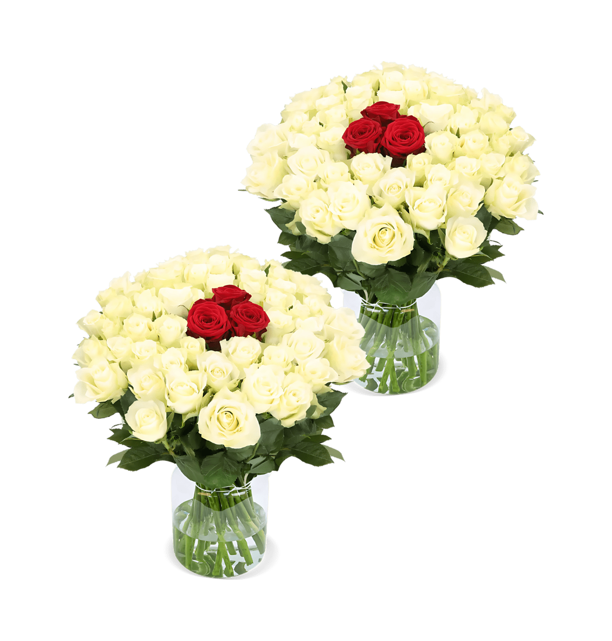 100 Rosen - "Nordlicht" (2x50 Stück) - Blume Ideal