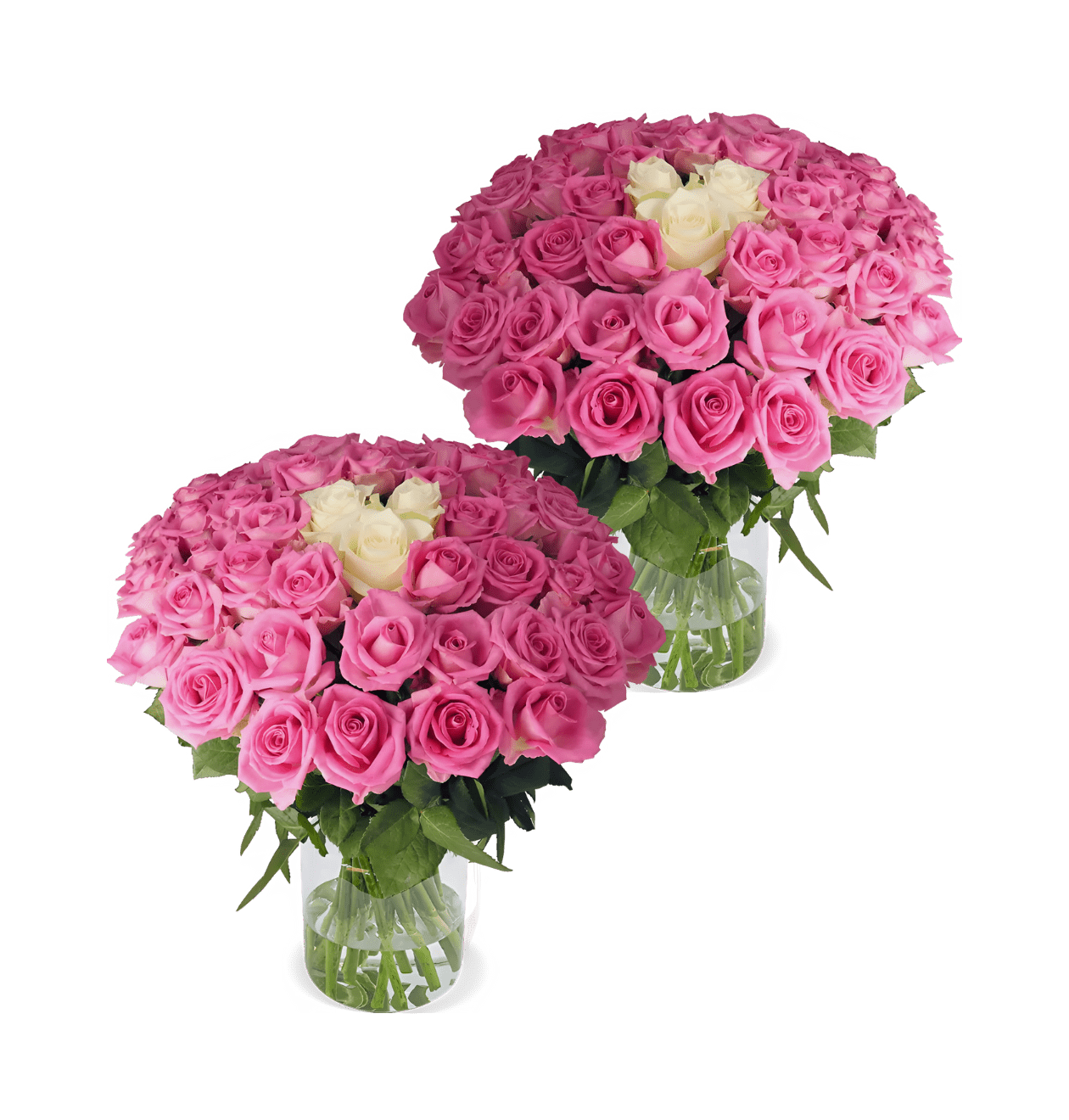 100 Rosen - "Pink Special" (2x50 Stück) - Blume Ideal