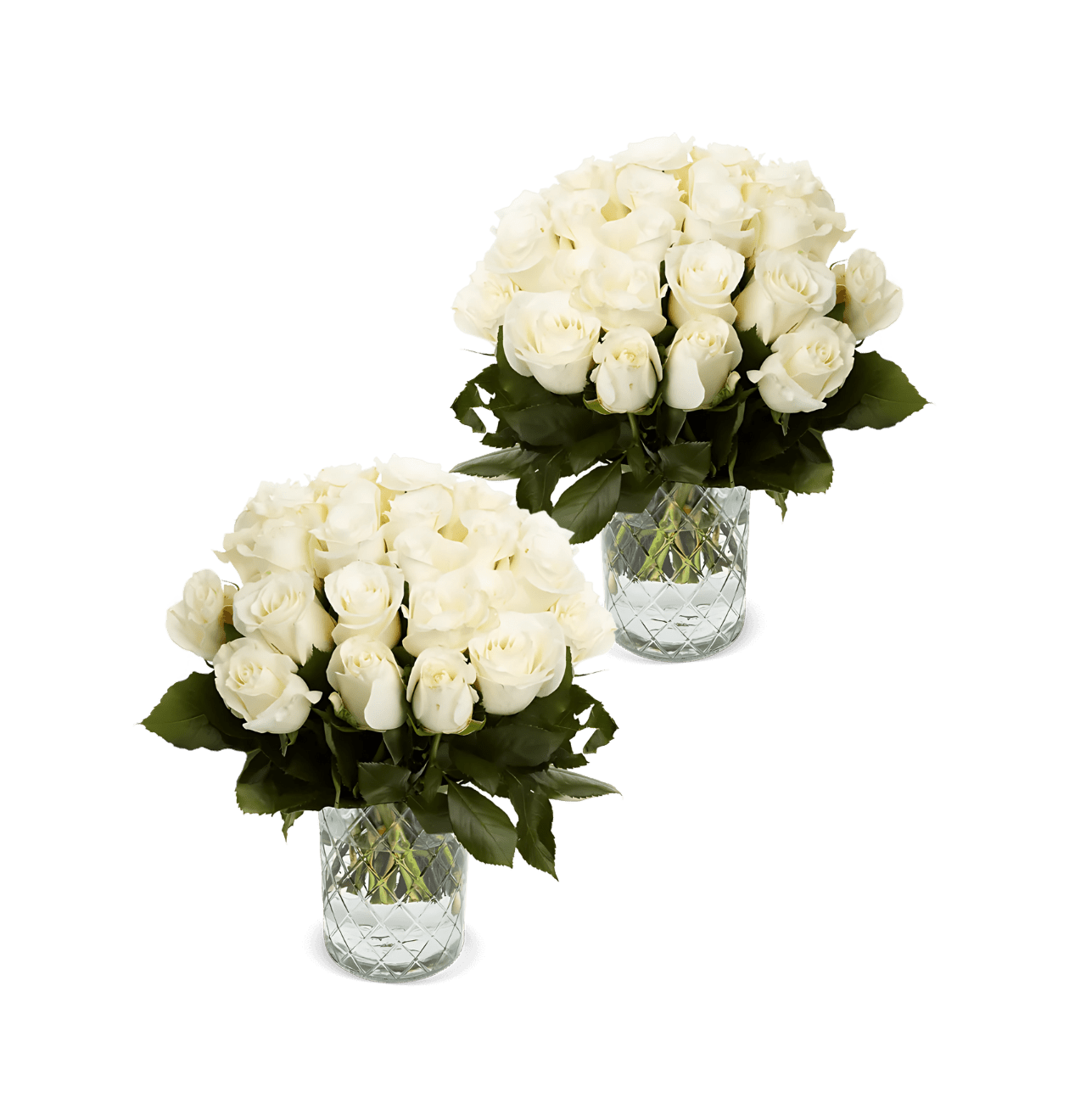 100 Weiße Rosen (2x50 Stück) - Blume Ideal