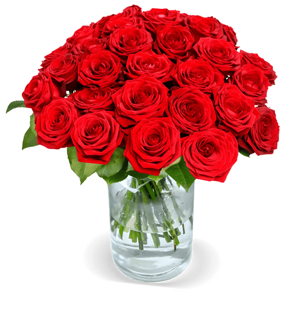 15 Red Naomi Rosen