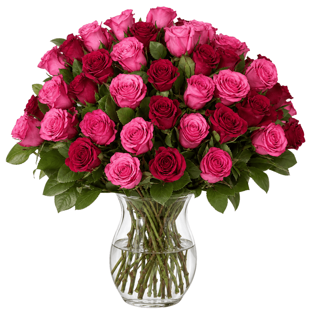 40 Rosen - "Romantic Roses" - Blume Ideal
