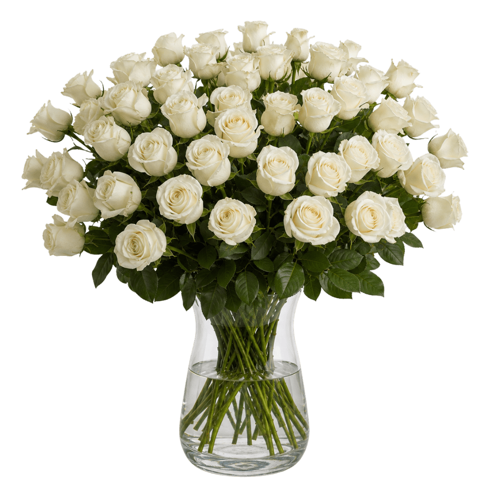 40 weiße Rosen - Blume Ideal