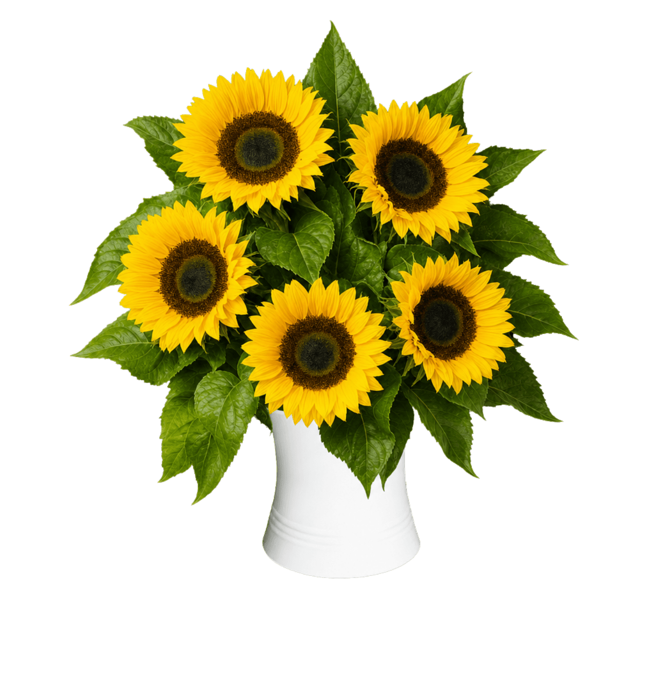 5 Sonnenblumen - Blume Ideal