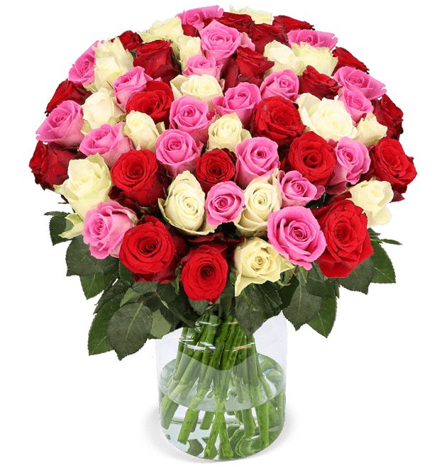 50 Rosen - Love Loud - Blume Ideal