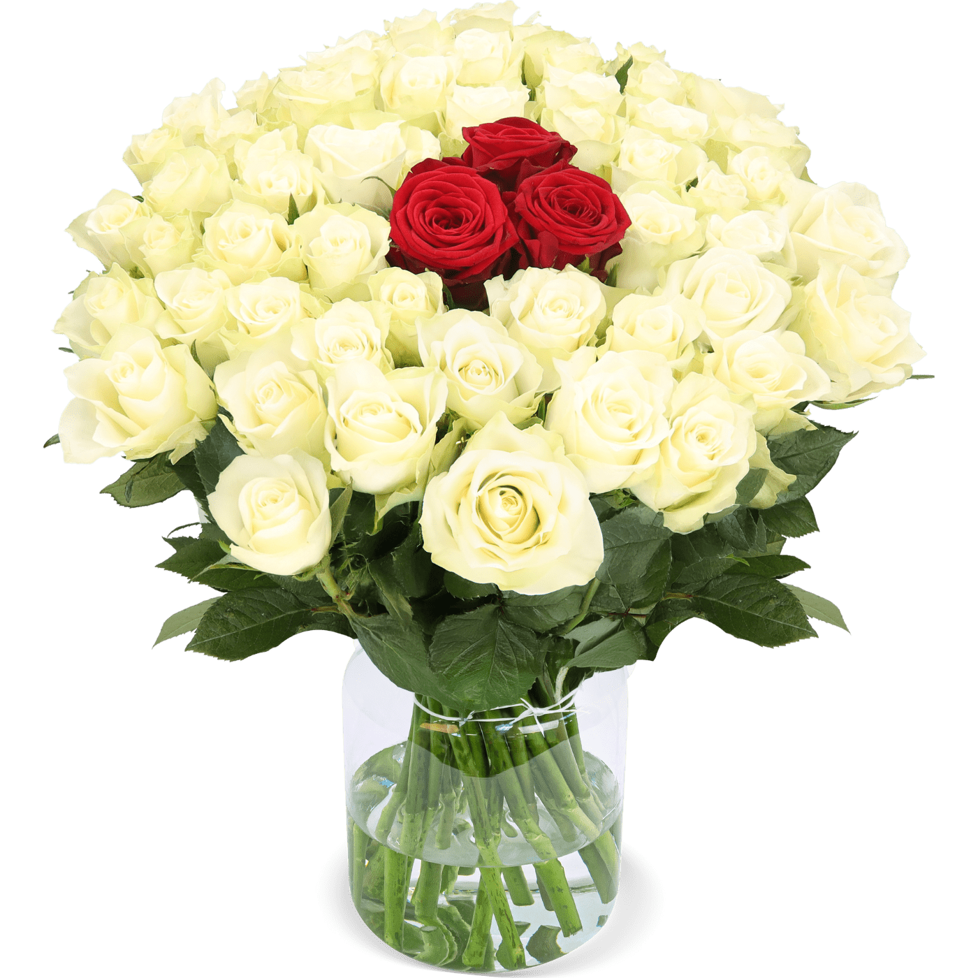 50 Rosen - "Nordlicht" - Blume Ideal