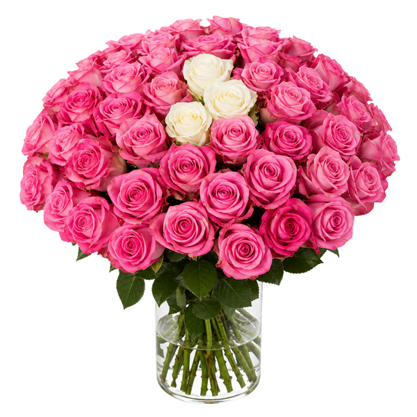 50 Rosen - "Pink Special"