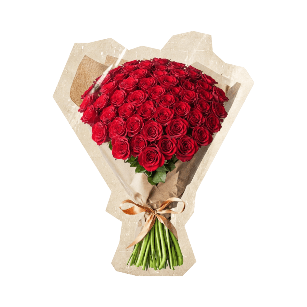 50 rote Rosen - Blume Ideal