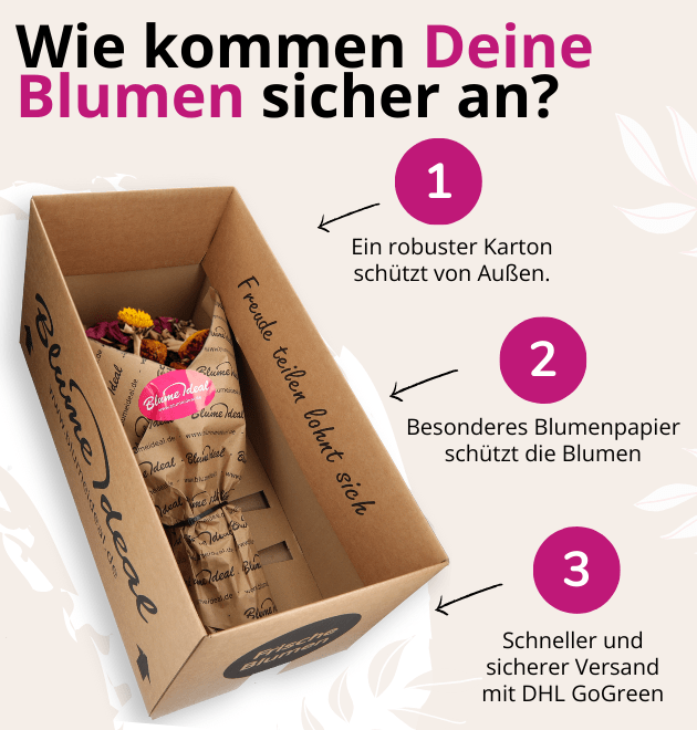 51 Rosen - "Heartbeat" - Blume Ideal