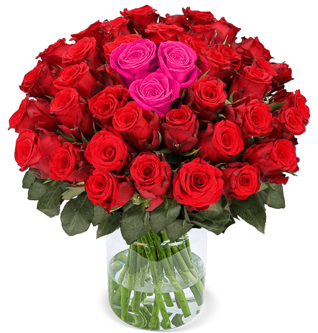 51 Rosen - "Heartbeat" - Blume Ideal