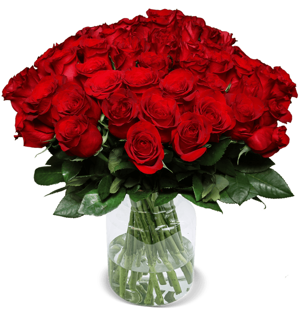 60 rote Rosen 