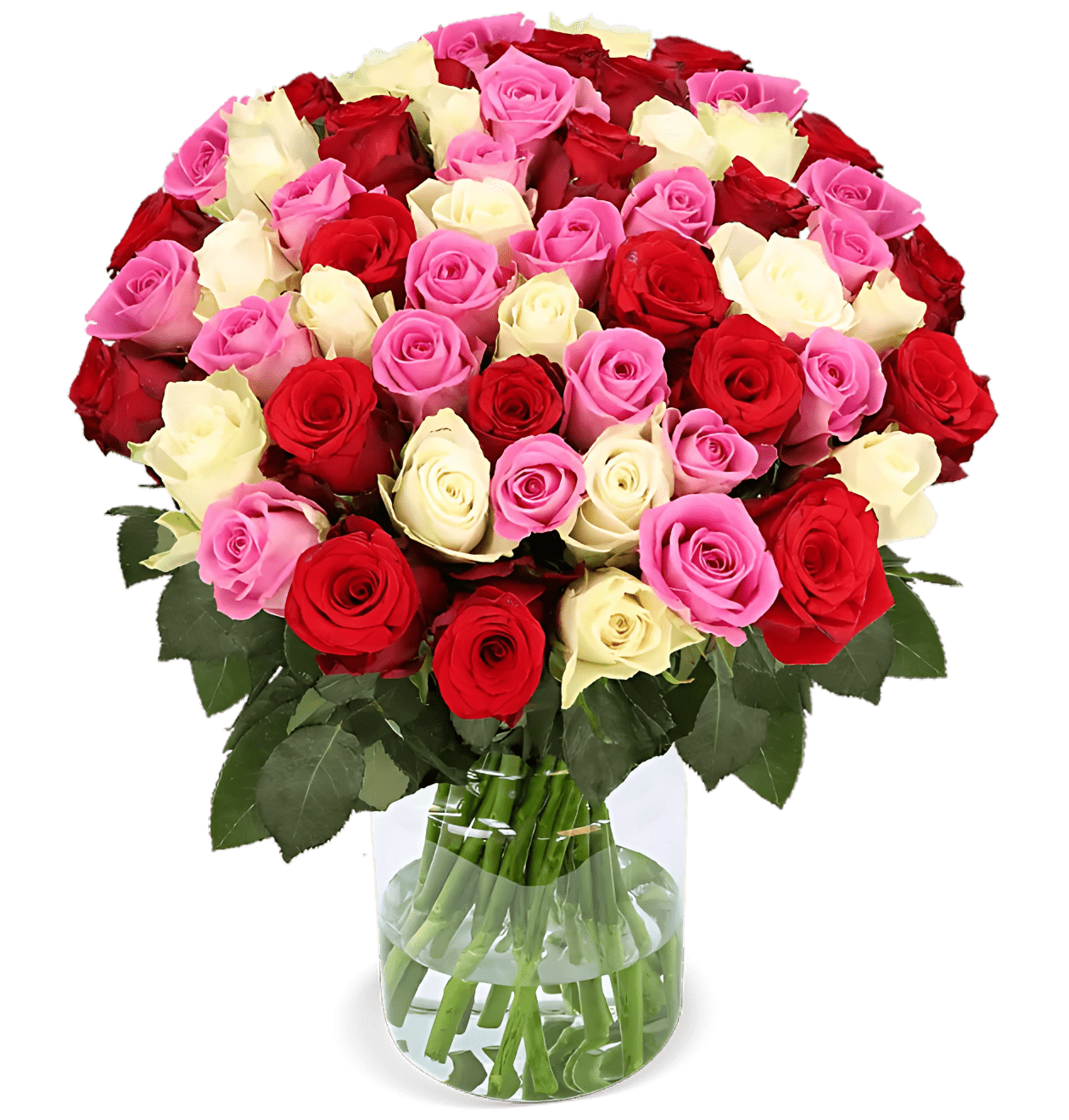 70 Rosen - "Love Loud" - Blume Ideal