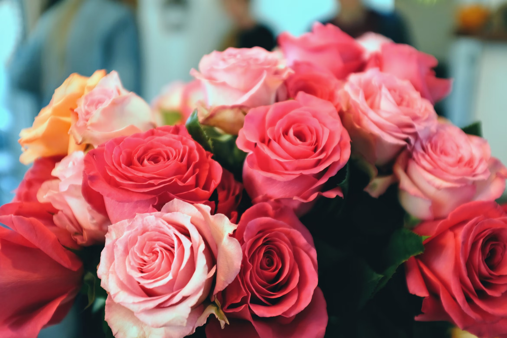 Liebe am Valentinstag
