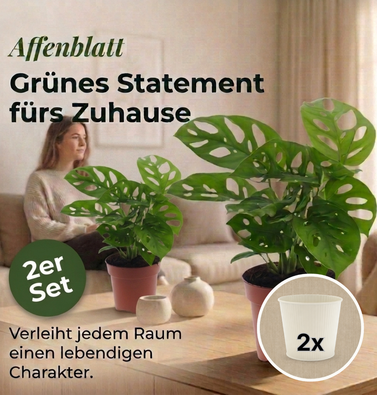 Monstera adansonii + 2x Cremefarbener Zinktopf | 2er-Set | Monkey Leaf | ca. 25-30 cm | Ø 12-15 cm Topf