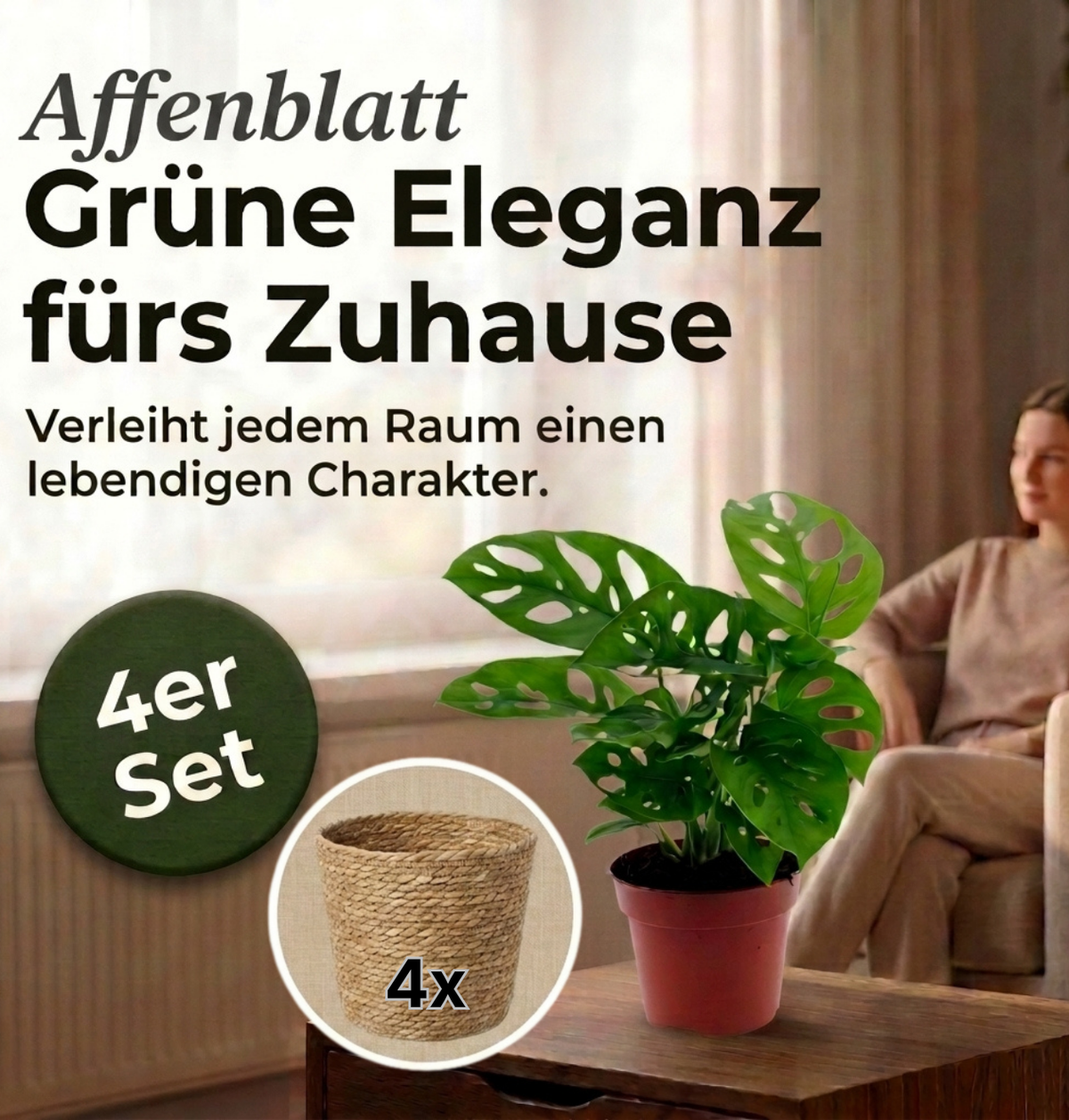 Monstera adansonii + 4x Seegraskorb | 4er-Set | Monkey Leaf | ca. 25-30 cm | Ø 12-15 cm Topf