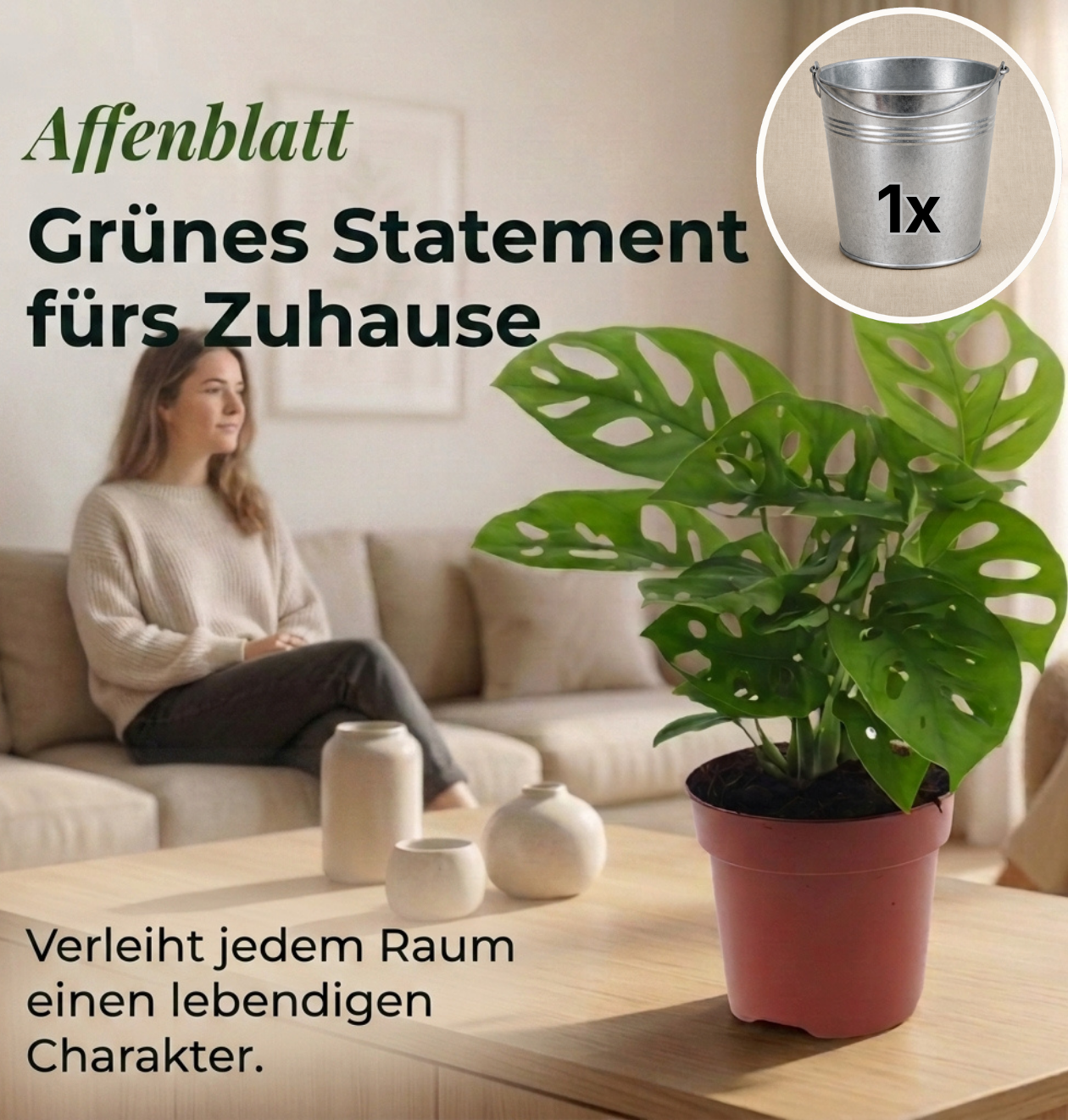 Monstera adansonii + Zinktopf | Monkey Leaf | ca. 25-30 cm | Ø 12-15 cm Topf