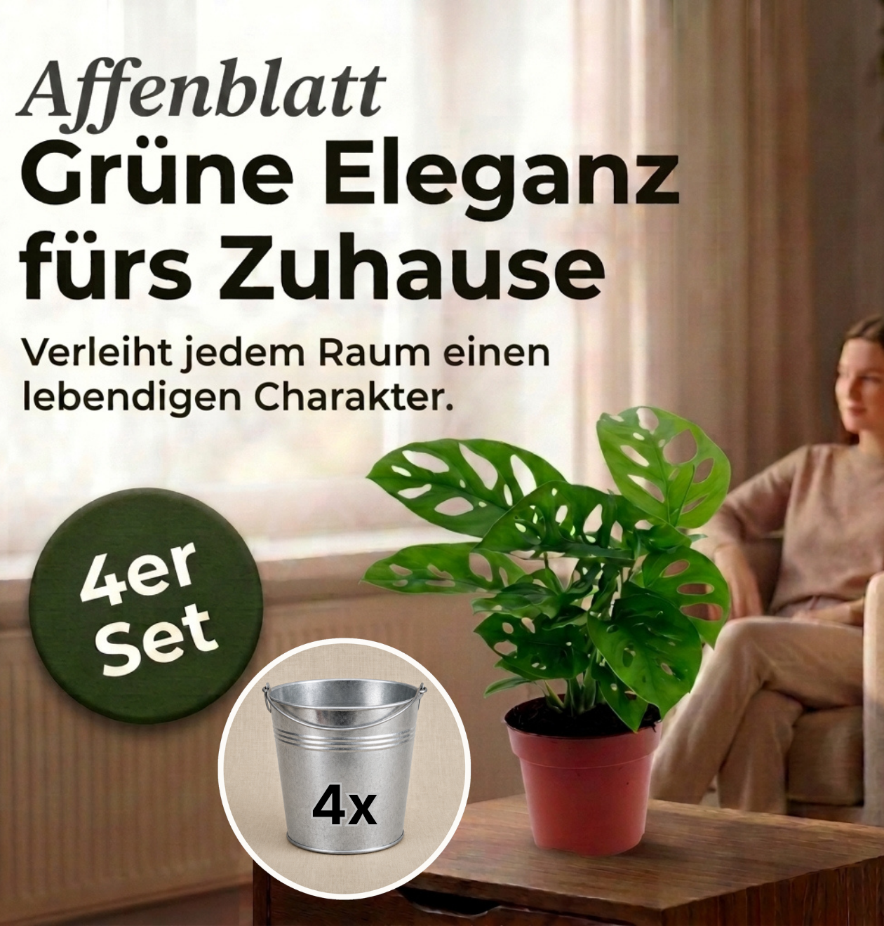 Monstera adansonii + Zinktopf | 4er-Set | Monkey Leaf | ca. 25-30 cm | Ø 12-15 cm Topf