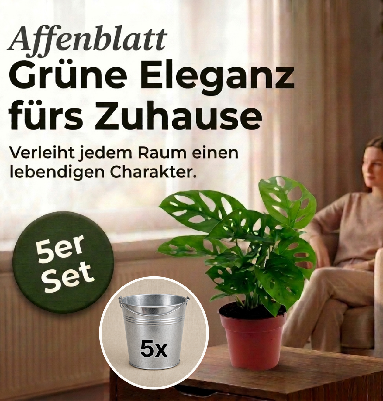 Monstera adansonii + Zinktopf | 5er-Set | Monkey Leaf | ca. 25-30 cm | Ø 12-15 cm Topf
