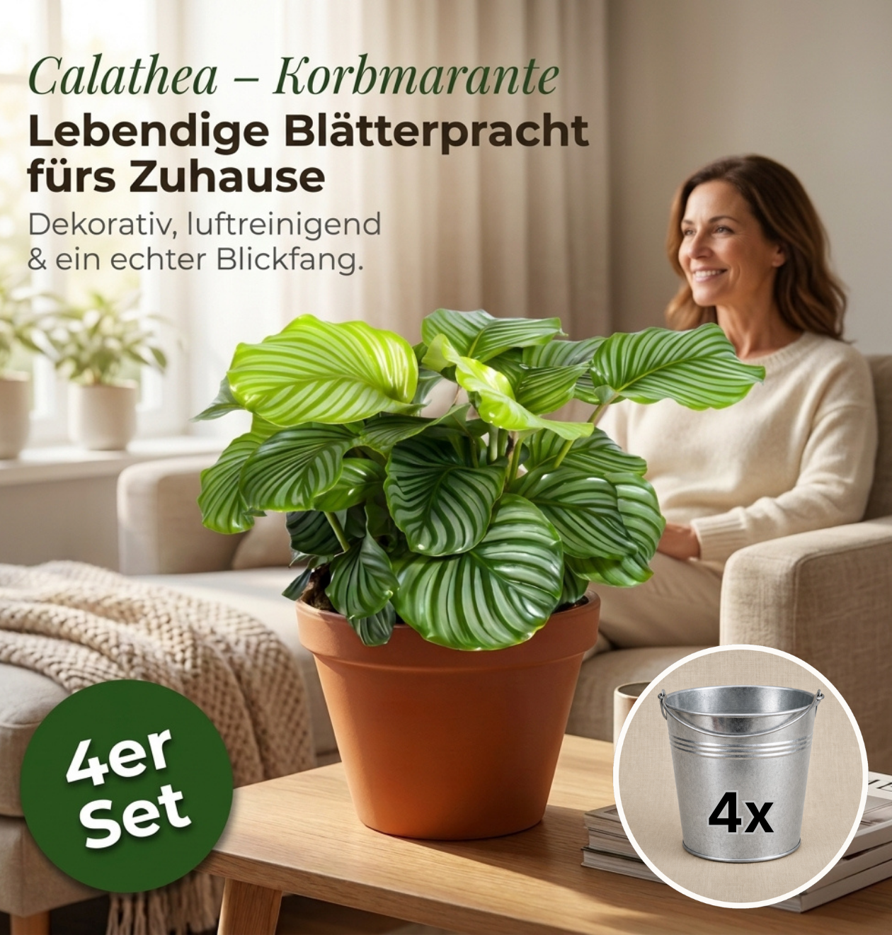 Korbmarante + Zinktopf | 4er-Set | Calathea | ca. 40-50 cm | Ø 12-15 cm Topf