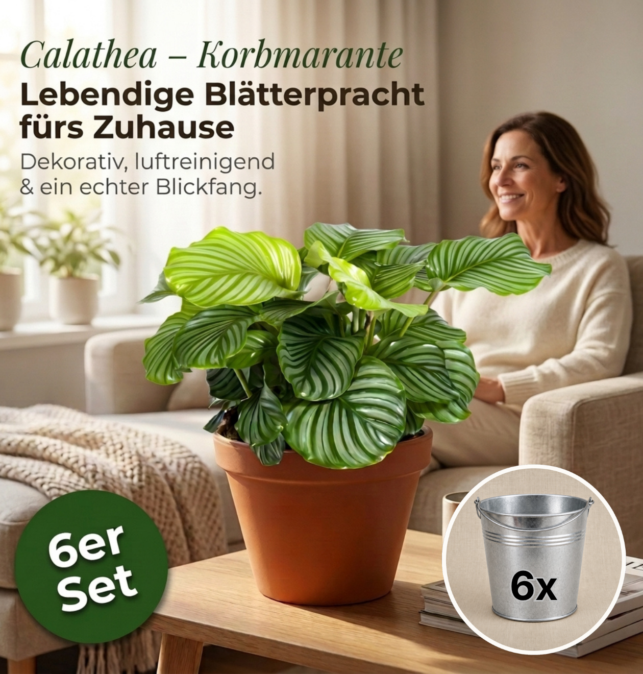 Korbmarante + Zinktopf | 6er-Set | Calathea | ca. 40-50 cm | Ø 12-15 cm Topf